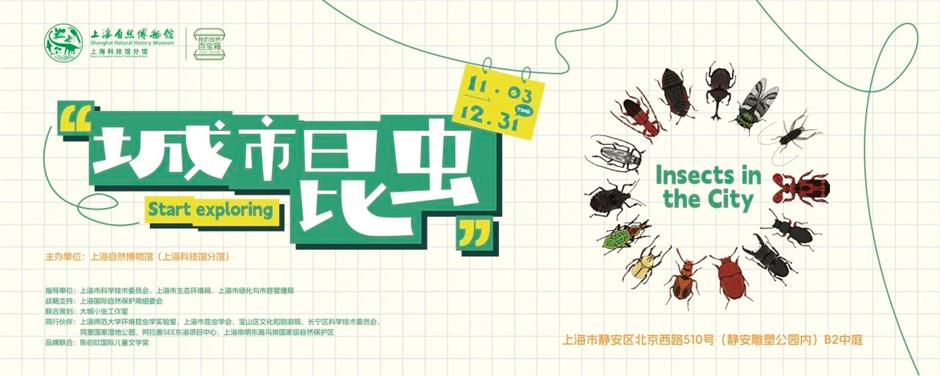 自在长三角|来上海看文博大展!沪上博物馆十二月观展指南