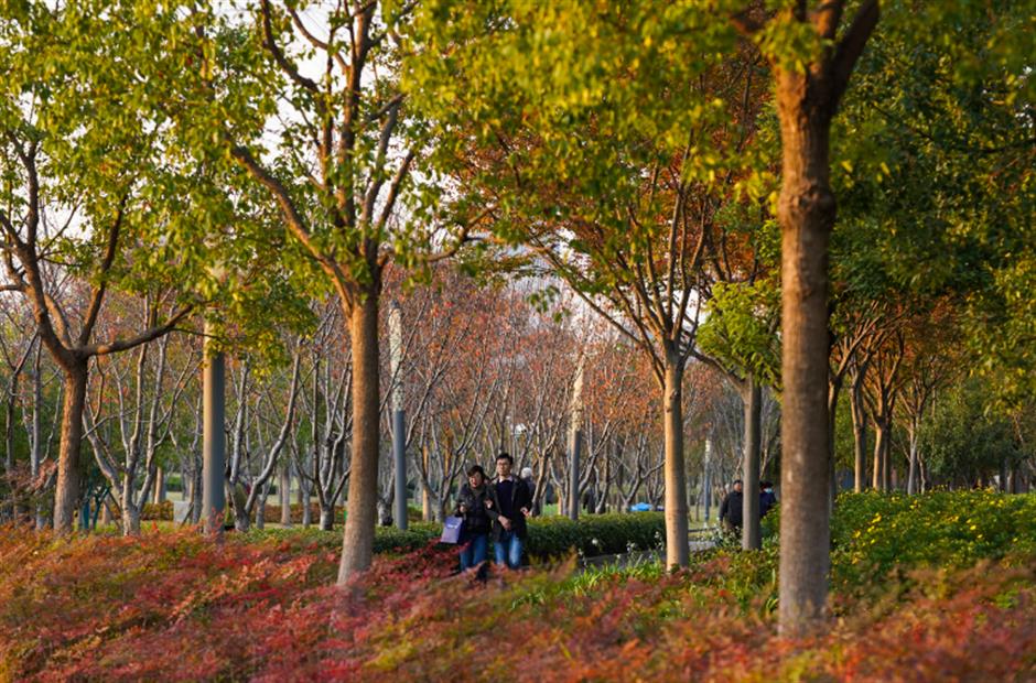 免费秋色,快来打卡