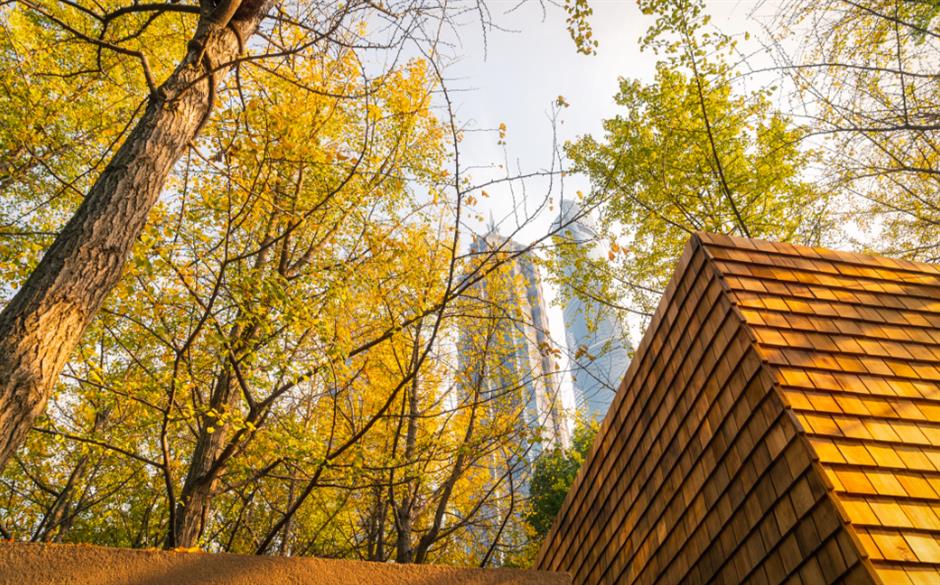 免费秋色,快来打卡