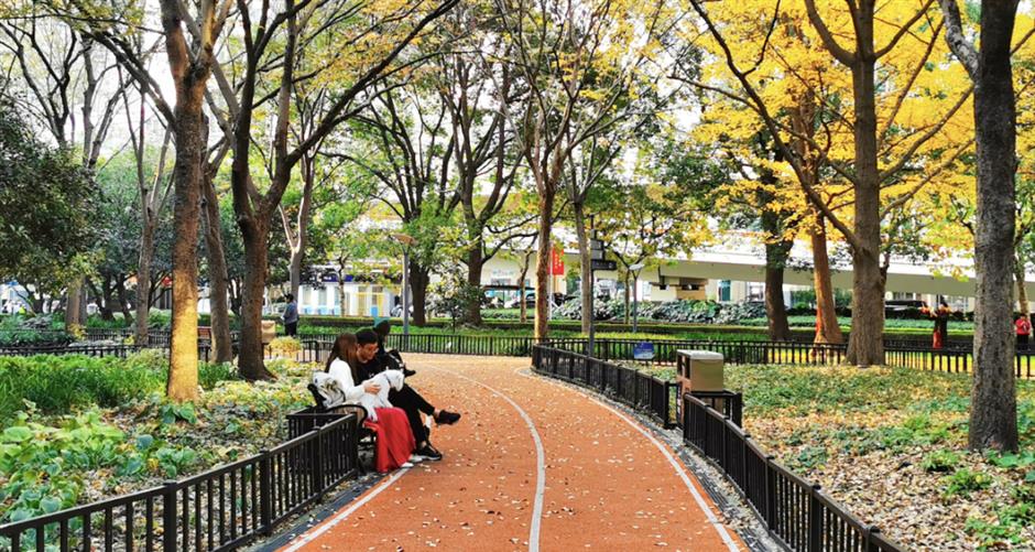 免费秋色,快来打卡