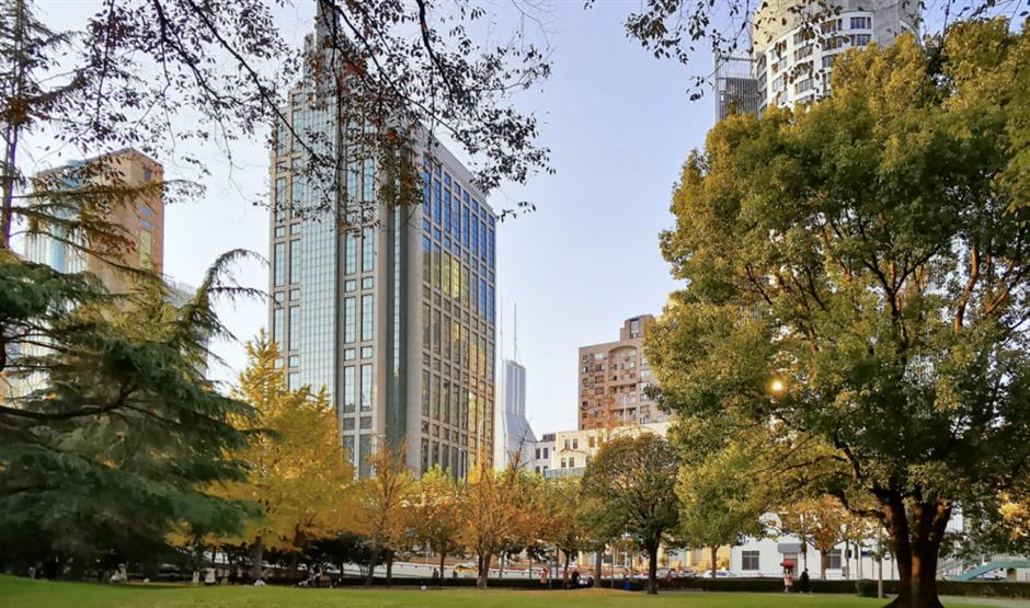 免费秋色,快来打卡