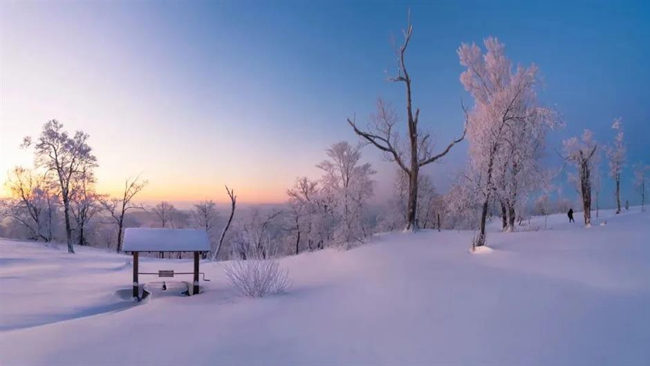 节气之美 | 夜深知雪重,时闻折竹声