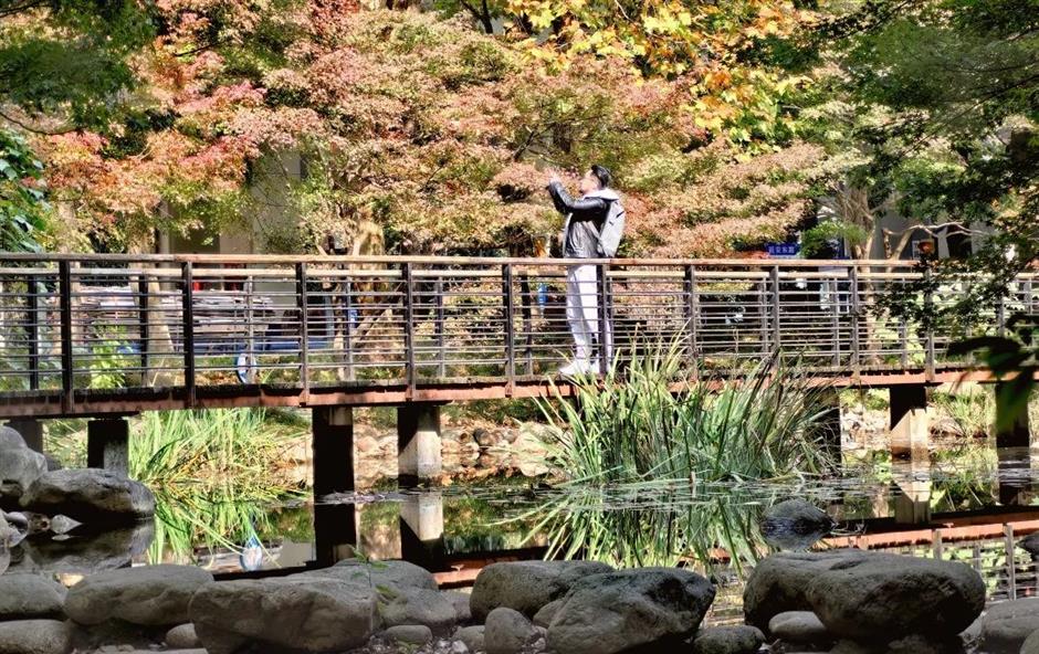 免费秋色,快来打卡