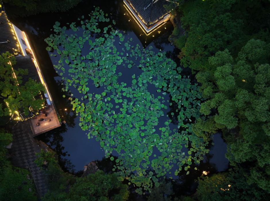 「海派城市考古」又有新線路！冬季篇新鮮出爐→