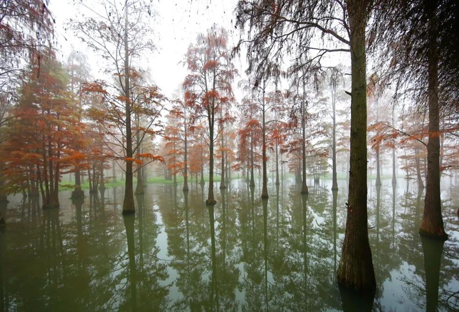 「海派城市考古」又有新線路！冬季篇新鮮出爐→