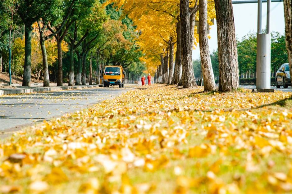 沪郊的七彩美景美如画,打卡去