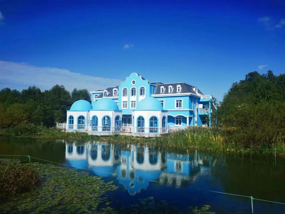 沪郊的七彩美景美如画,打卡去