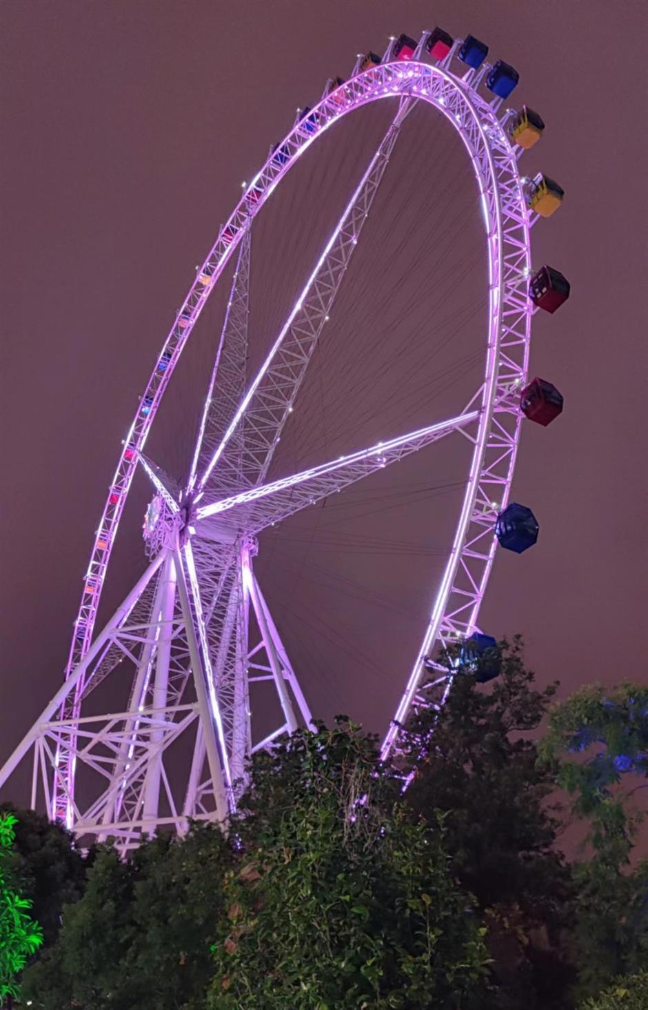沪郊的七彩美景美如画,打卡去