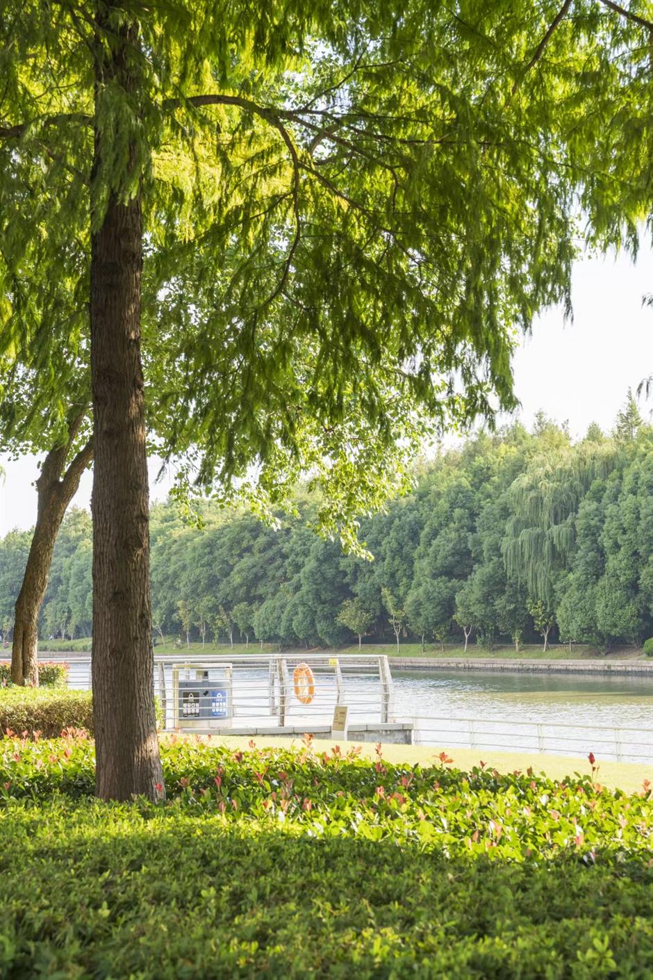 沪郊的七彩美景美如画,打卡去