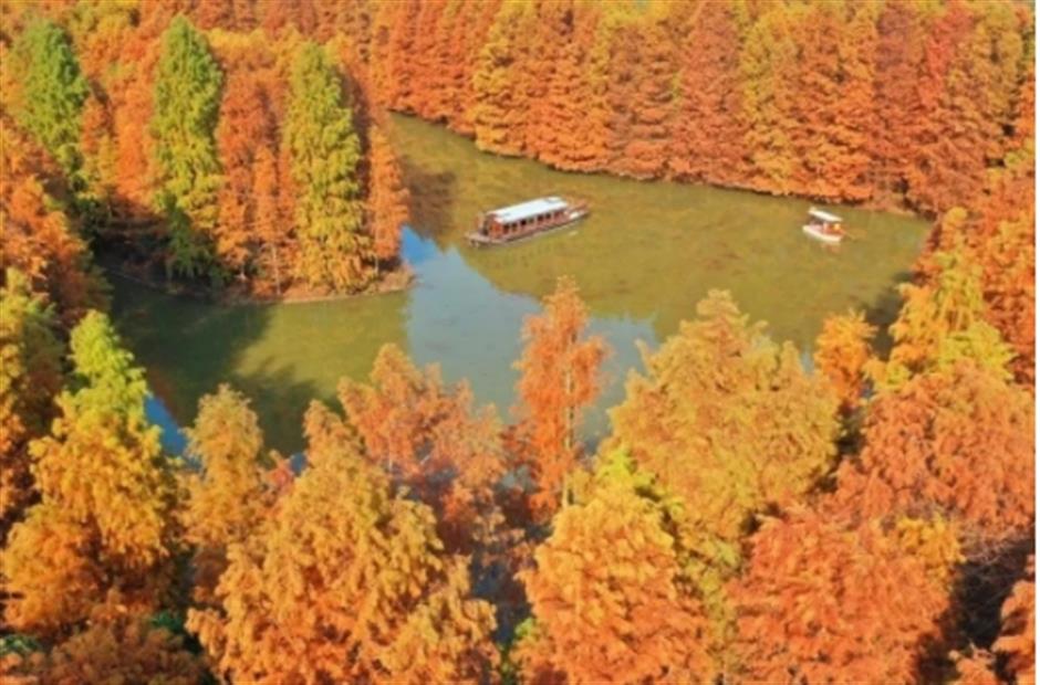 限定美景!看森林公园的初冬画卷