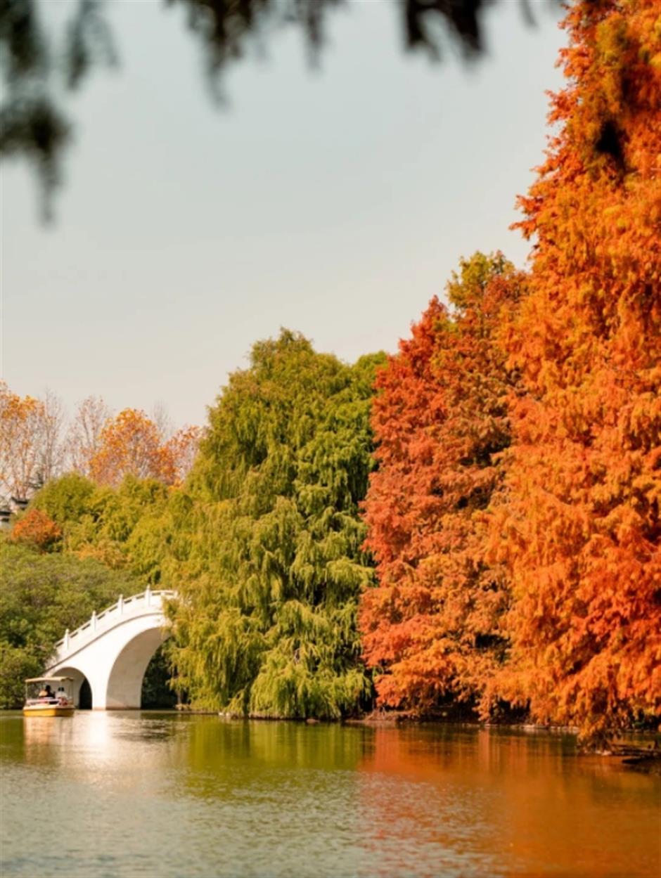 限定美景!看森林公园的初冬画卷