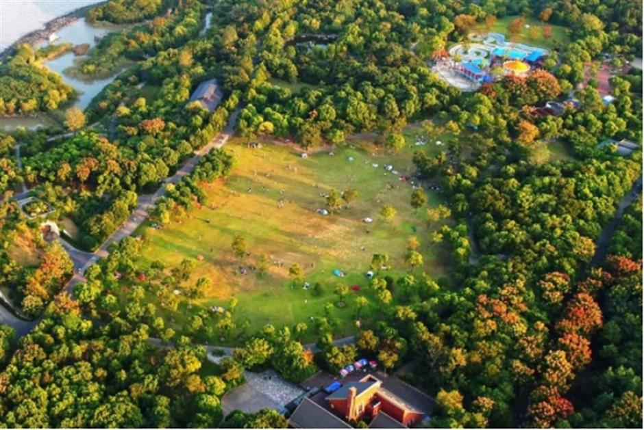 限定美景!看森林公园的初冬画卷