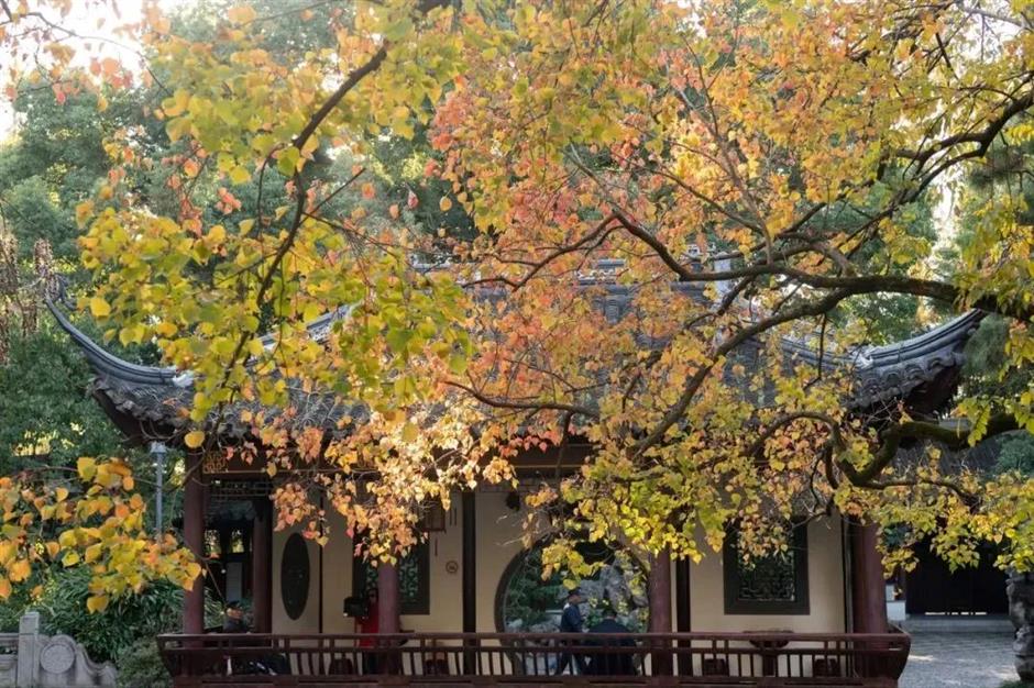 藏在老街上的书房,一处古色古香的文旅融合新空间丨家门口的好去处