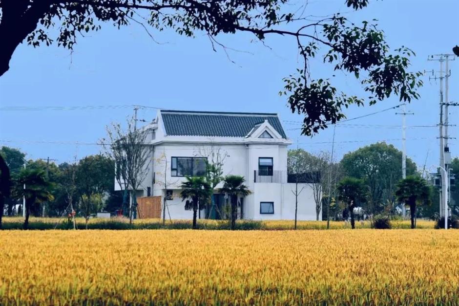 理想中的田园生活,看这里→ | 上海优质五星乡村民宿