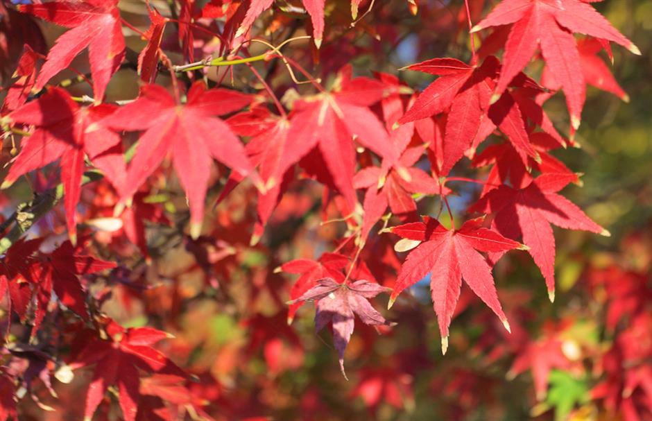 秋冬限定Park Walk!与惊艳不期而遇