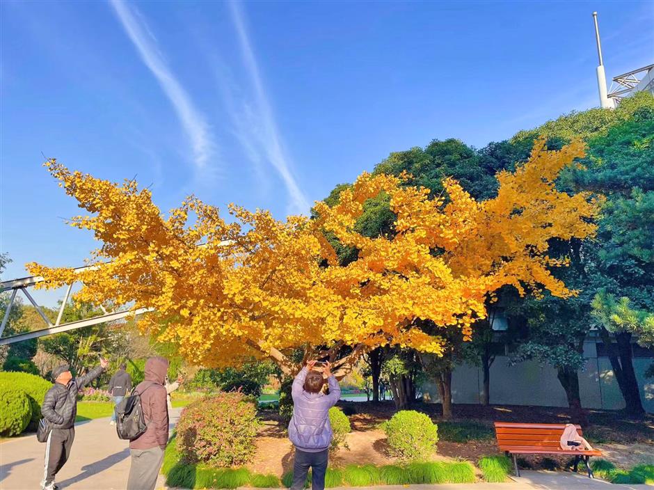 秋冬限定Park Walk!与惊艳不期而遇