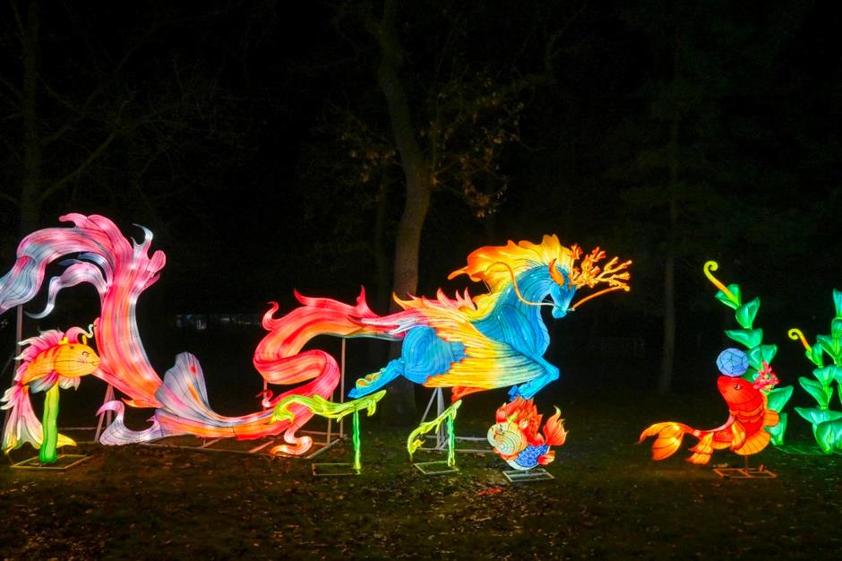 第二十九届豫园灯会中法跨国点亮,主动