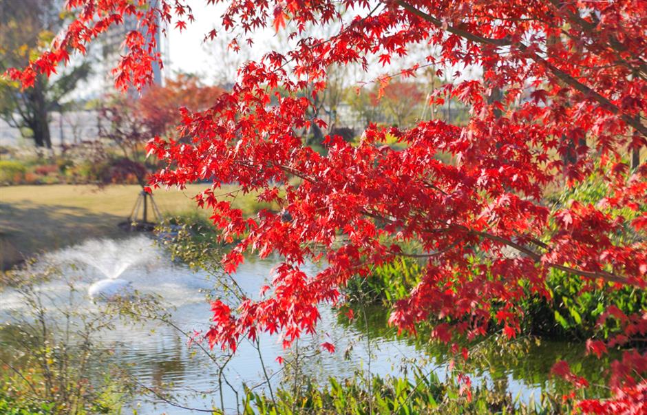 秋冬限定Park Walk!与惊艳不期而遇