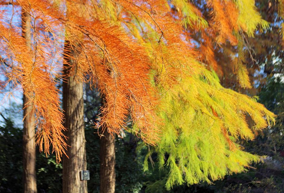 秋冬限定Park Walk!与惊艳不期而遇