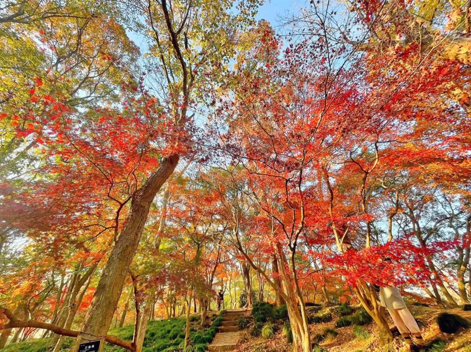 秋冬限定Park Walk!与惊艳不期而遇