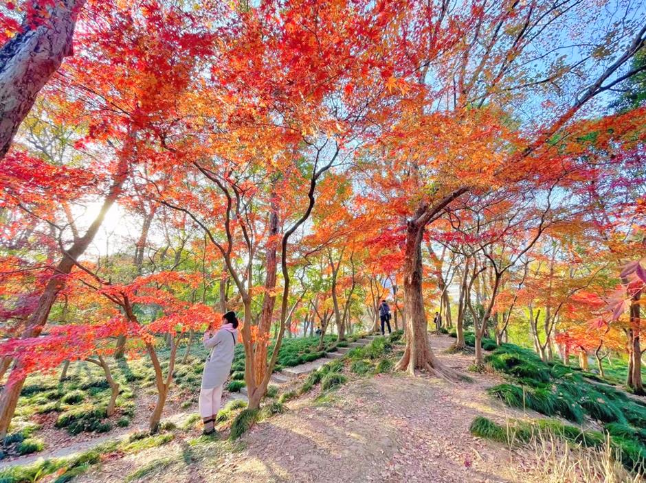 秋冬限定Park Walk!与惊艳不期而遇