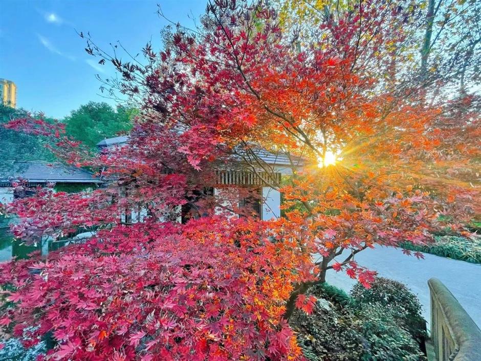 秋冬限定Park Walk!与惊艳不期而遇