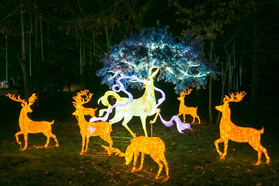 第二十九届豫园灯会中法跨国点亮,主动