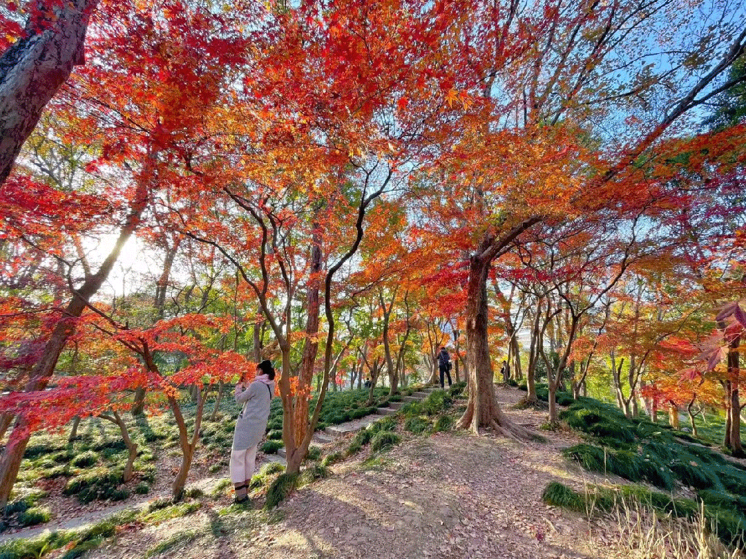 秋冬限定Park Walk!与惊艳不期而遇