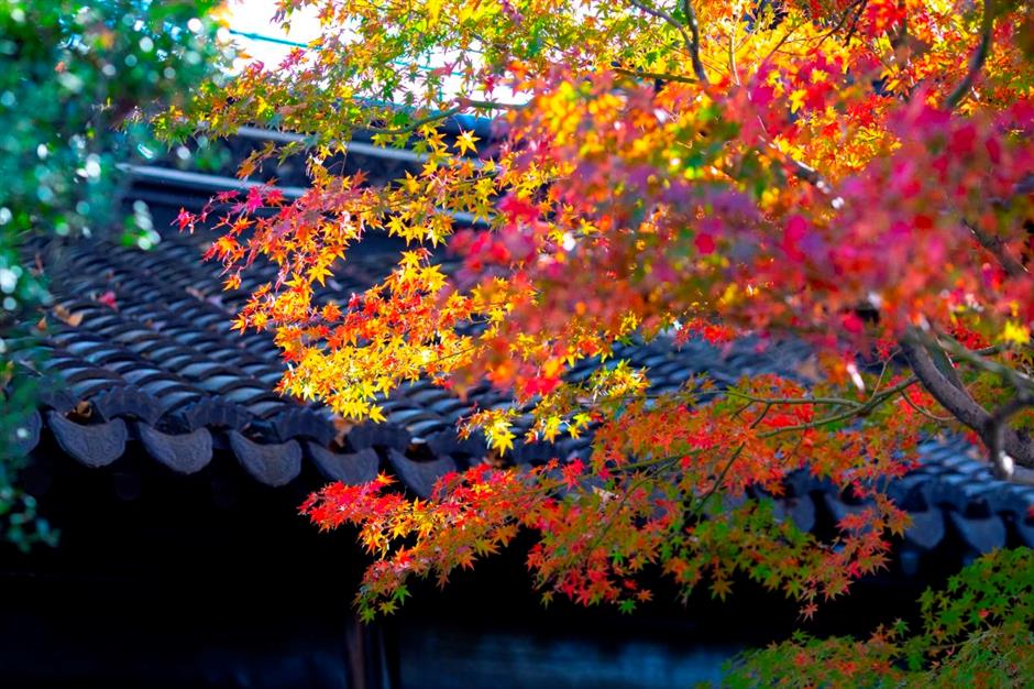 秋冬限定Park Walk!与惊艳不期而遇