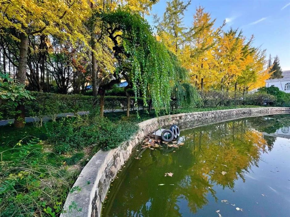 秋冬限定Park Walk!与惊艳不期而遇