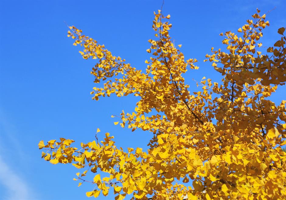 秋冬限定Park Walk!与惊艳不期而遇