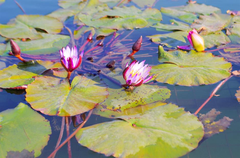 秋冬限定Park Walk!与惊艳不期而遇