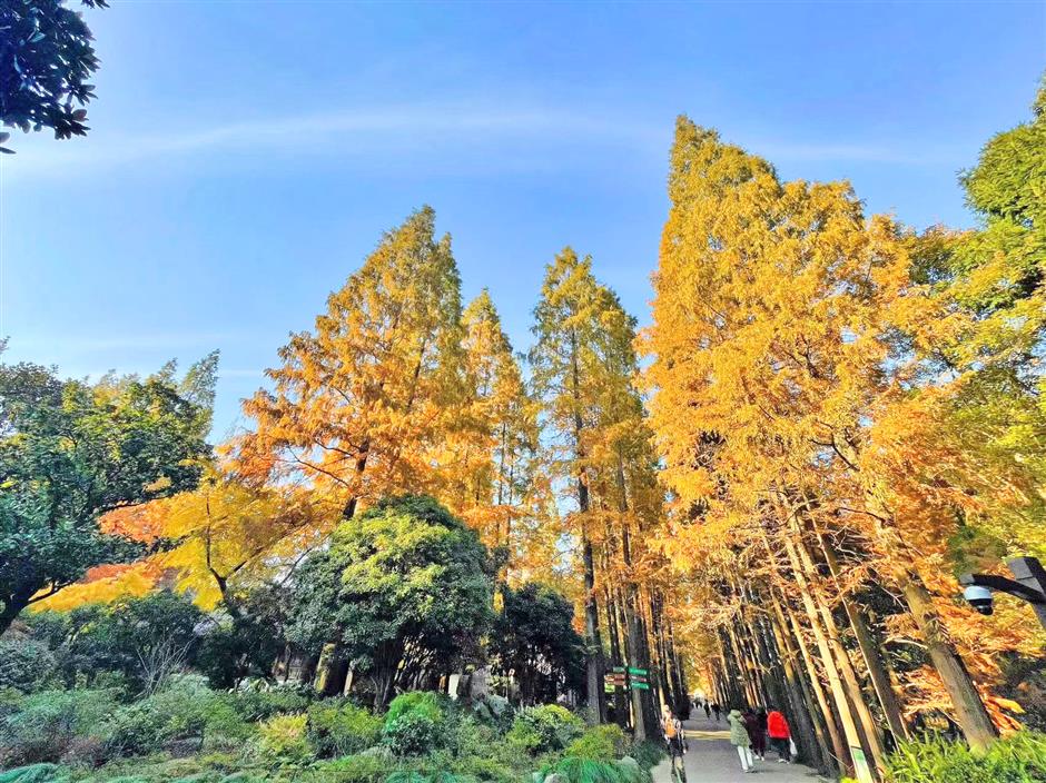 秋冬限定Park Walk!与惊艳不期而遇