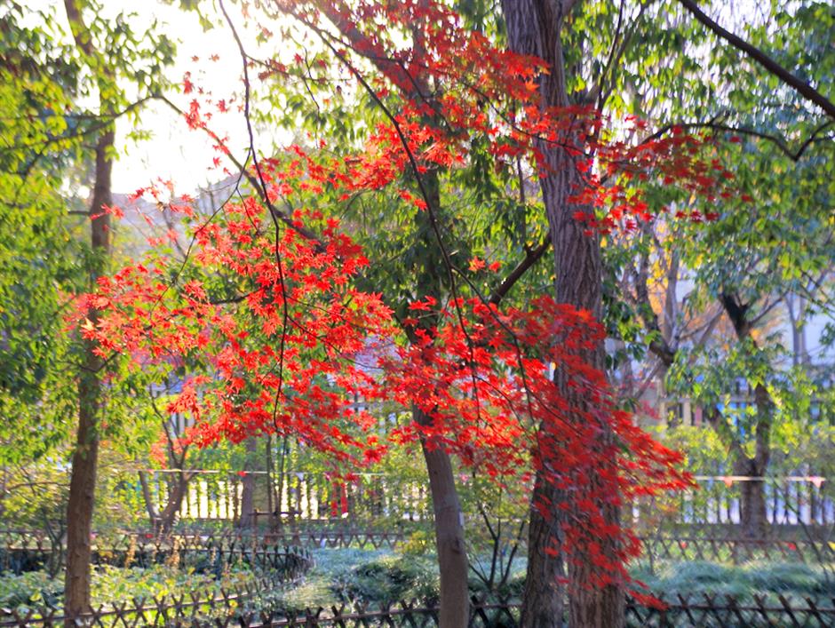 秋冬限定Park Walk!与惊艳不期而遇