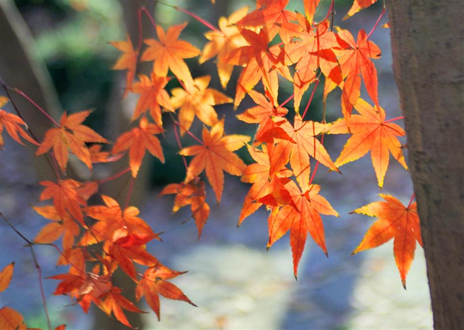 秋冬限定Park Walk!与惊艳不期而遇