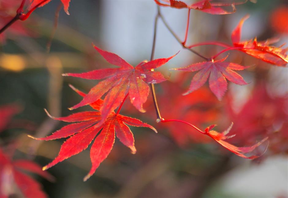 秋冬限定Park Walk!与惊艳不期而遇