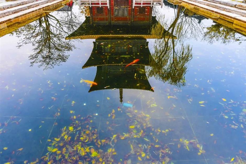 探索初冬美景,这份攻略赶紧收藏!