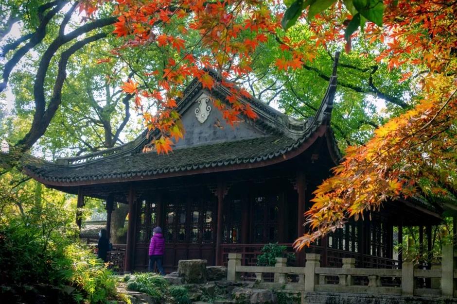 探索初冬美景,这份攻略赶紧收藏!