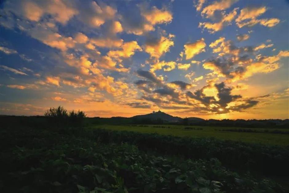 探索初冬美景,这份攻略赶紧收藏!