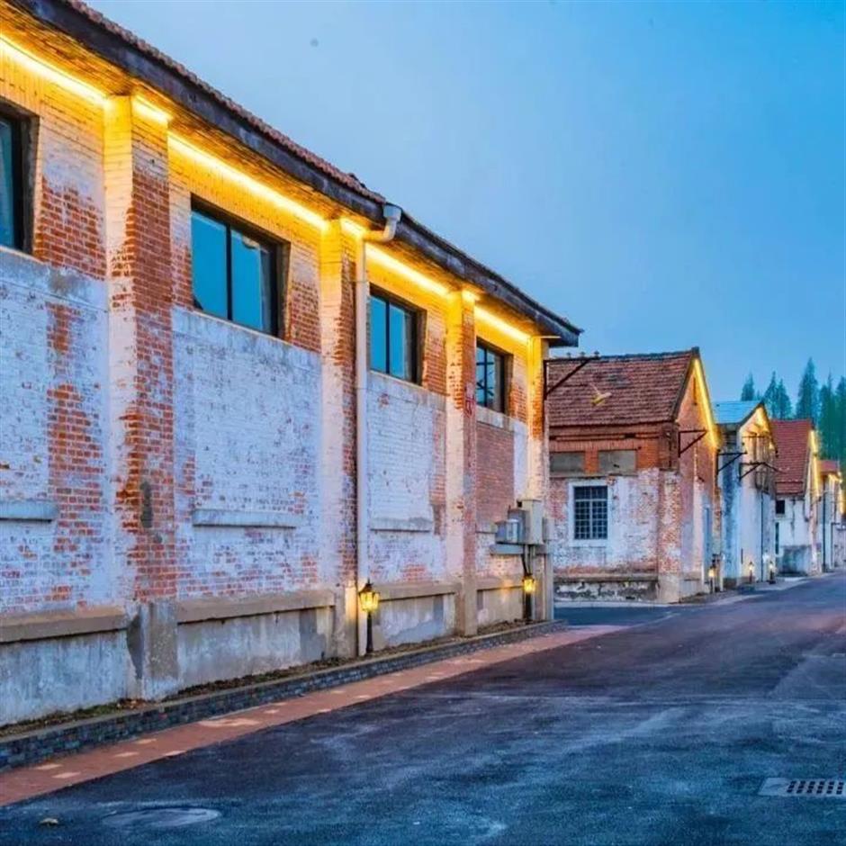 探索初冬美景,这份攻略赶紧收藏!