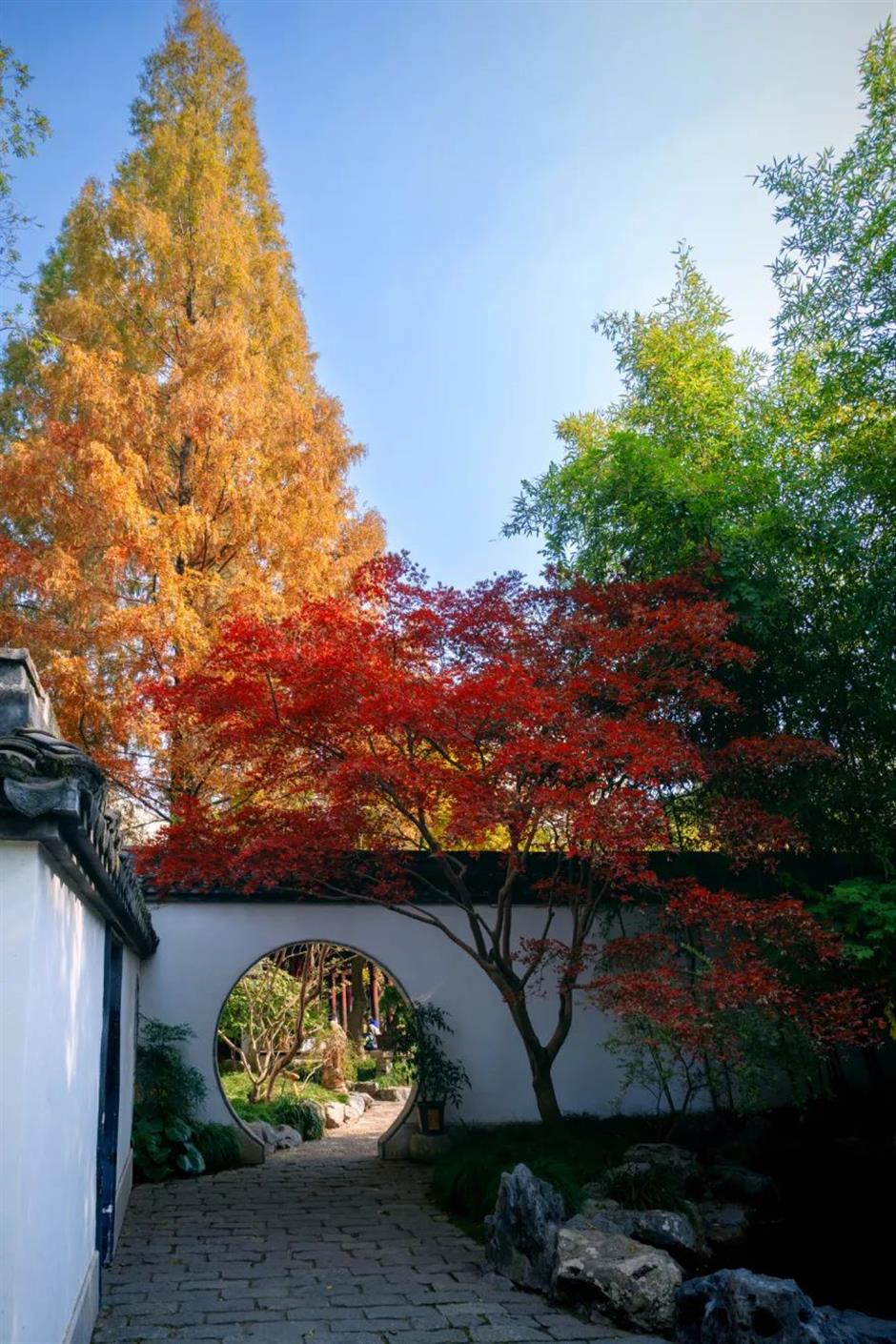 探索初冬美景,这份攻略赶紧收藏!