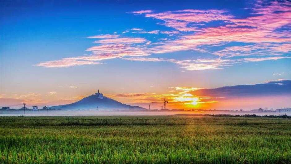 探索初冬美景,这份攻略赶紧收藏!