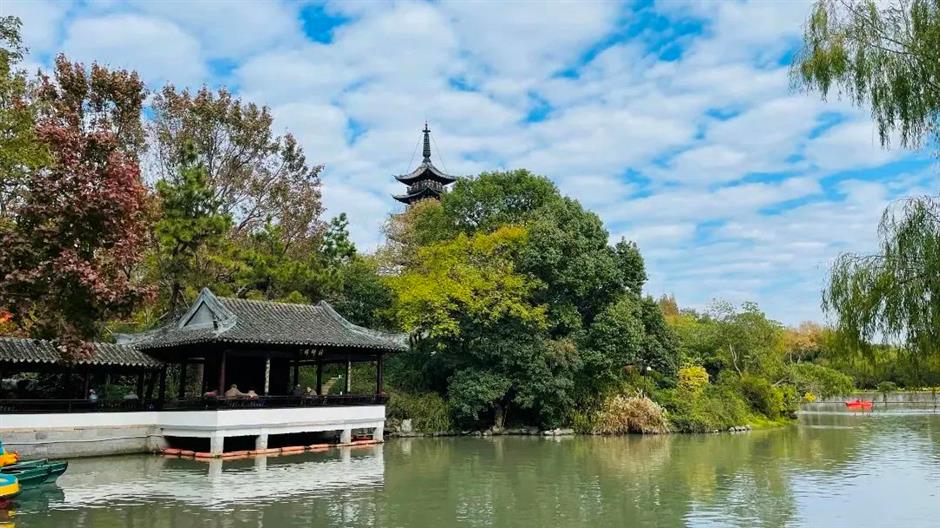 探索初冬美景,这份攻略赶紧收藏!