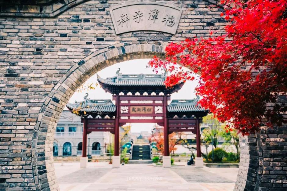 探索初冬美景,这份攻略赶紧收藏!