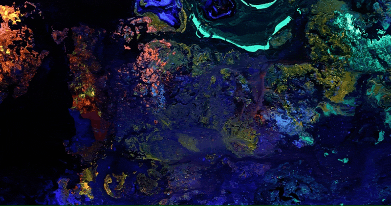 探索初冬美景,这份攻略赶紧收藏!