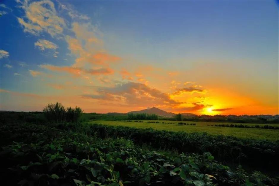 探索初冬美景,这份攻略赶紧收藏!