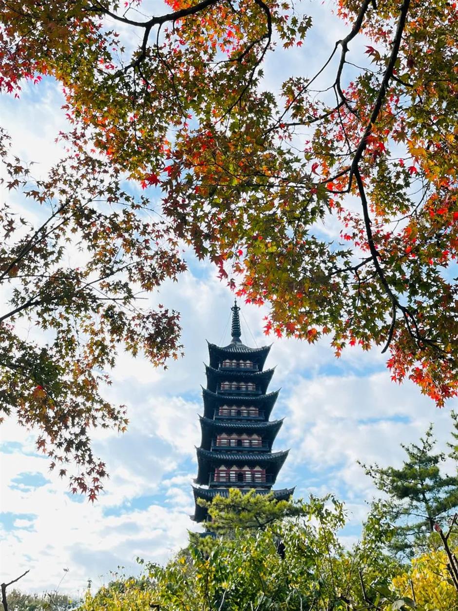 探索初冬美景,这份攻略赶紧收藏!