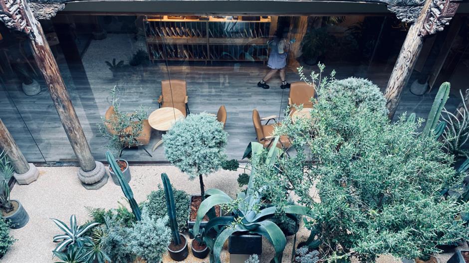 探索初冬美景,这份攻略赶紧收藏!