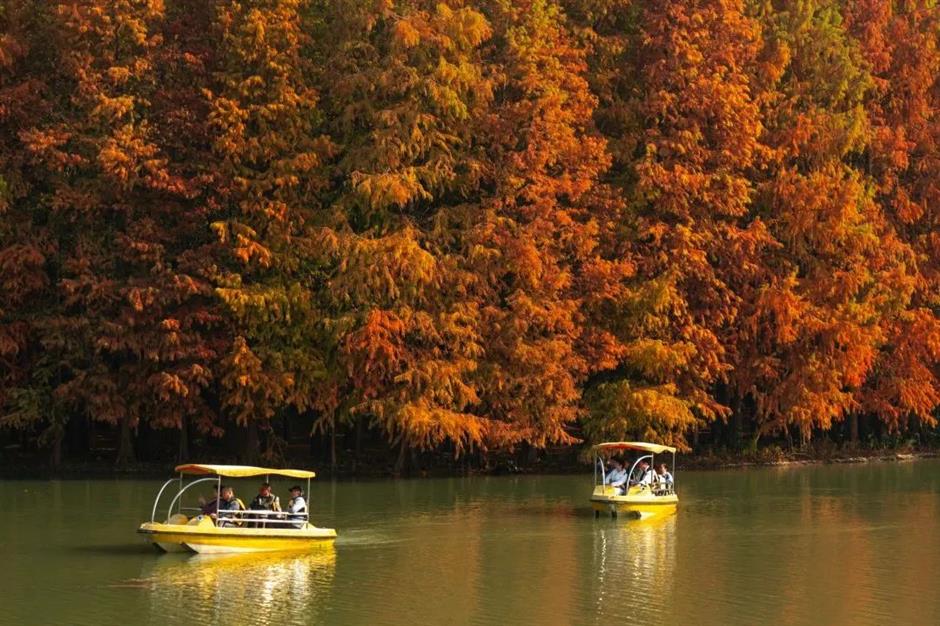 愛了!上海這些焦糖色的風景
