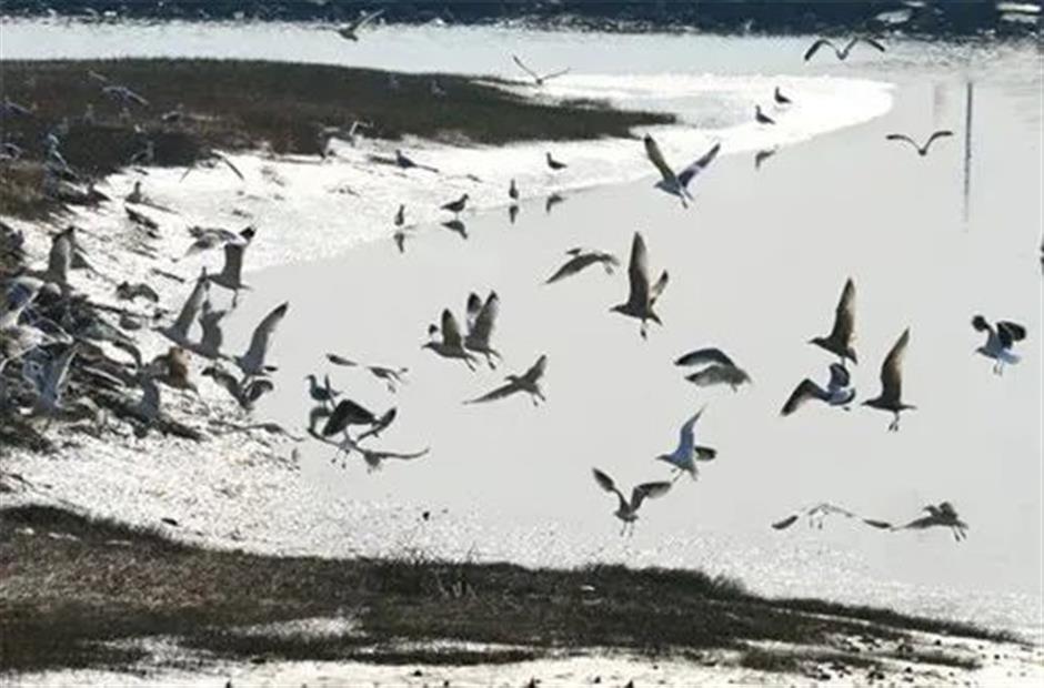 免费!这些原生态的游玩地你去过吗?